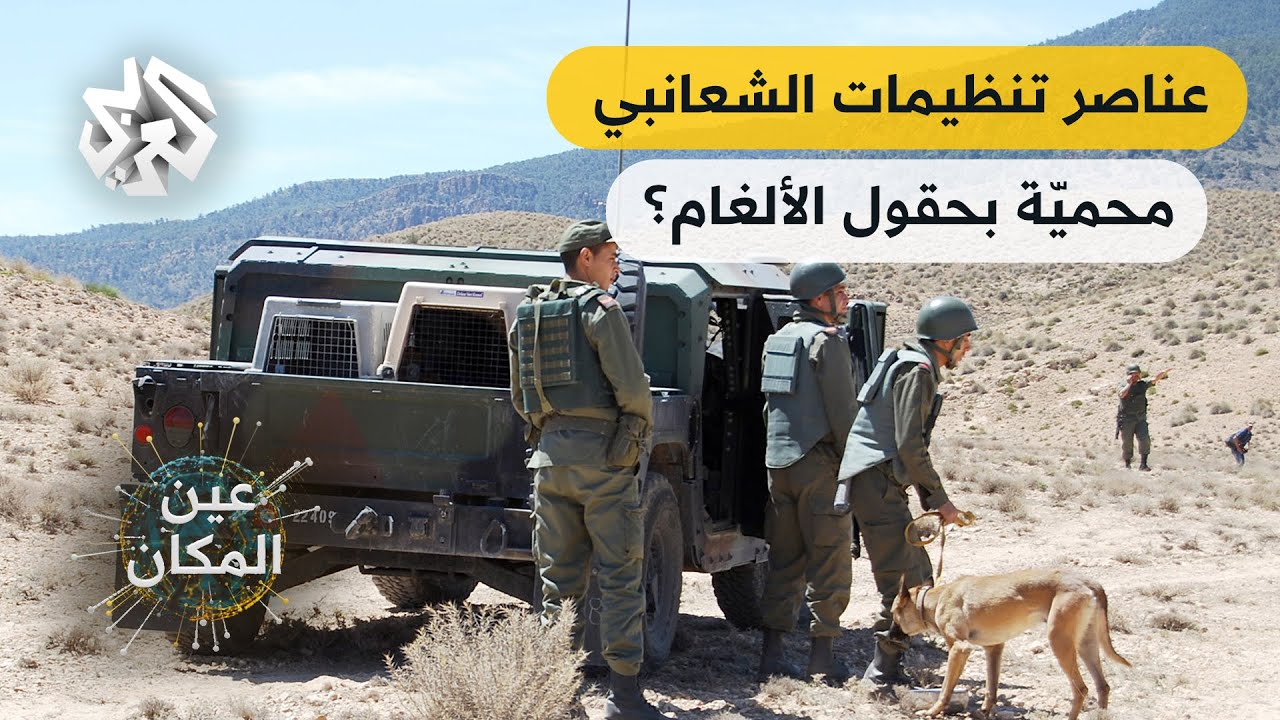 تونس .. كيف سيّجت الجماعات التابعة لتنظيم القاعدة والدولة الإسلامية جبل الشعانبي لحماية عناصرها؟