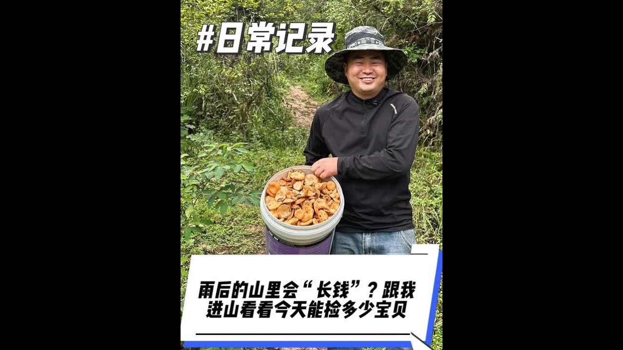 山里人的隐藏地图曝光！只有本地人才知道的捡菌宝地，绝不空手而归！#山货 #农村生活 #乡村守护人 #人间烟火 #大自然的馈赠