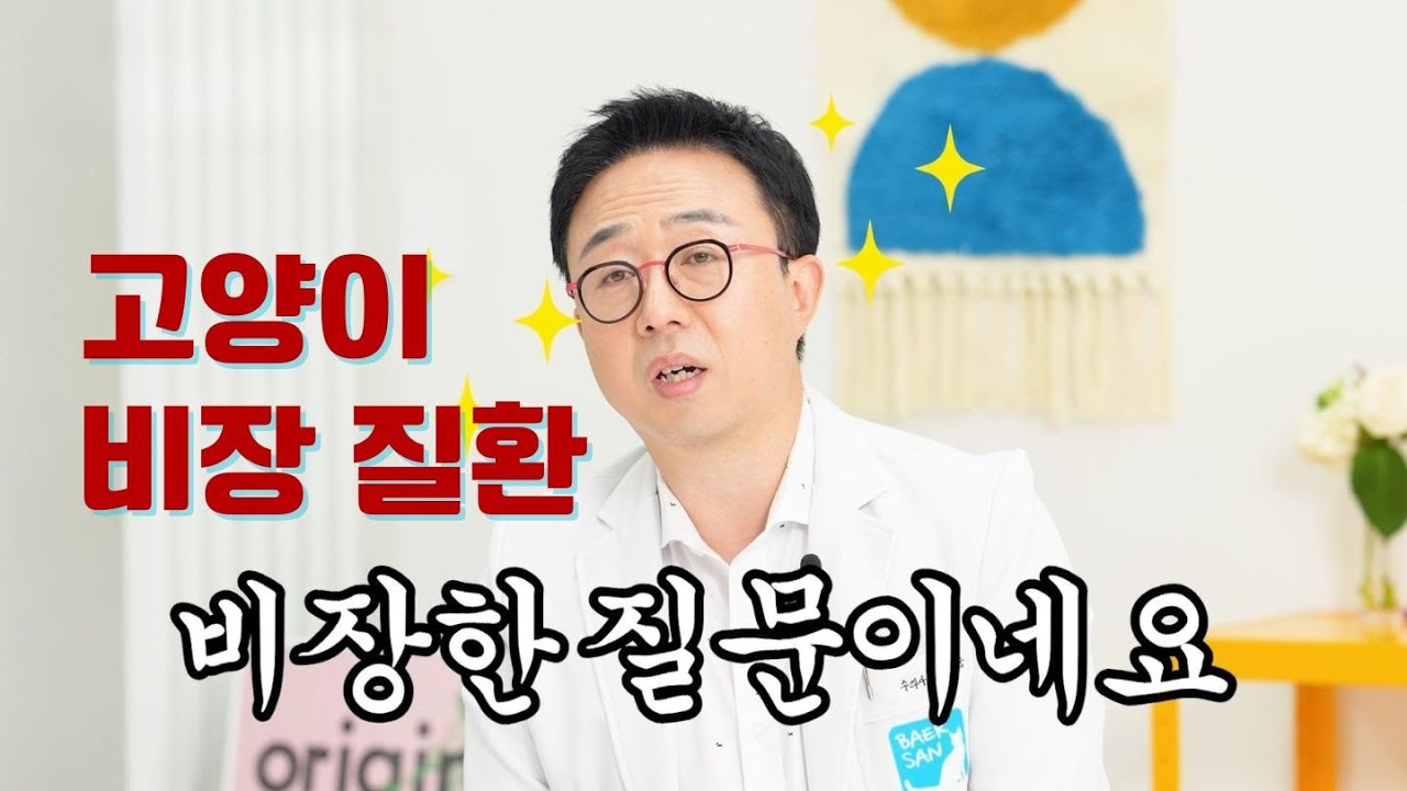고양이 비장 질환, 아무리 검색해도 정보가 없는 이유