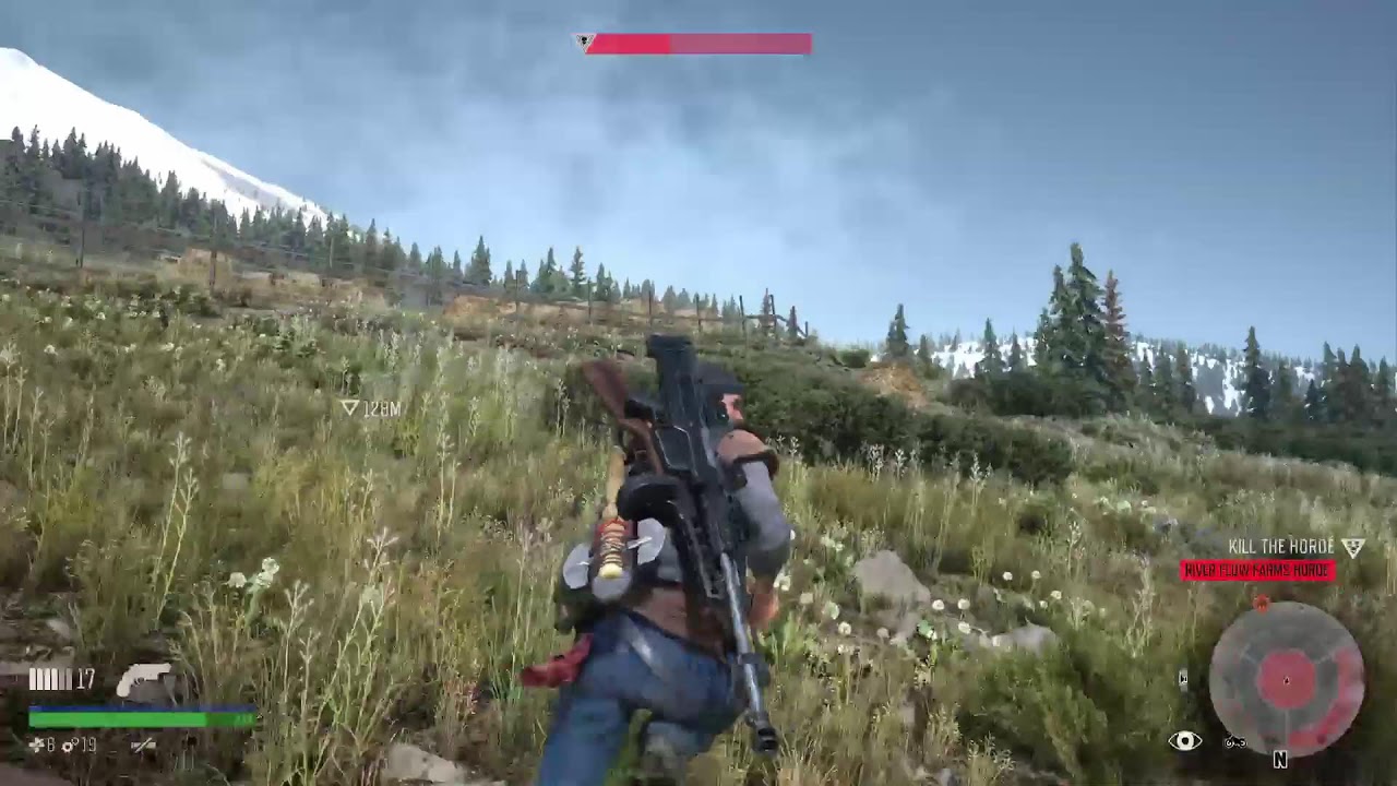 Days Gone