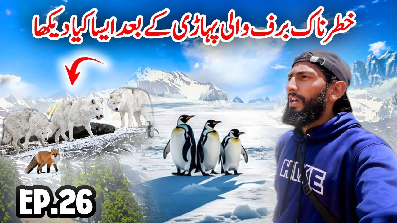 😳 Shocked Crossing First Snow Peak in Neelam Valley | Travelling with Bakarwal in Kashmir Episode 26