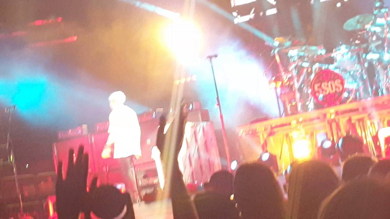 Slflmsg end