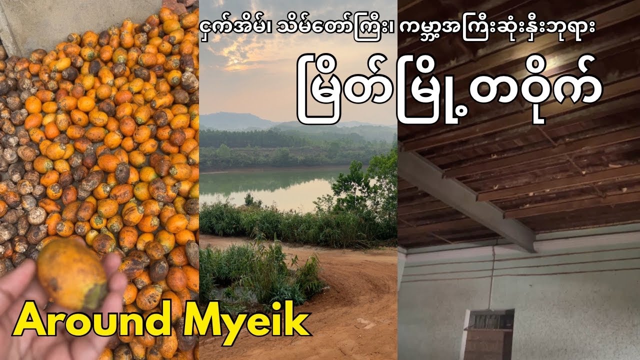 Around Myeik (မြိတ်မြို့တဝိုက်)