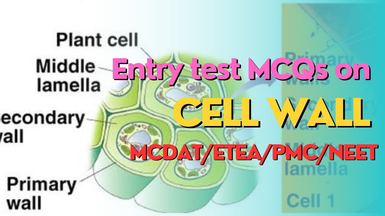 Cell Wall MCQs | Entry test MCQs on cell | MDCAT MCQs on cell wall | @doctoracademypk