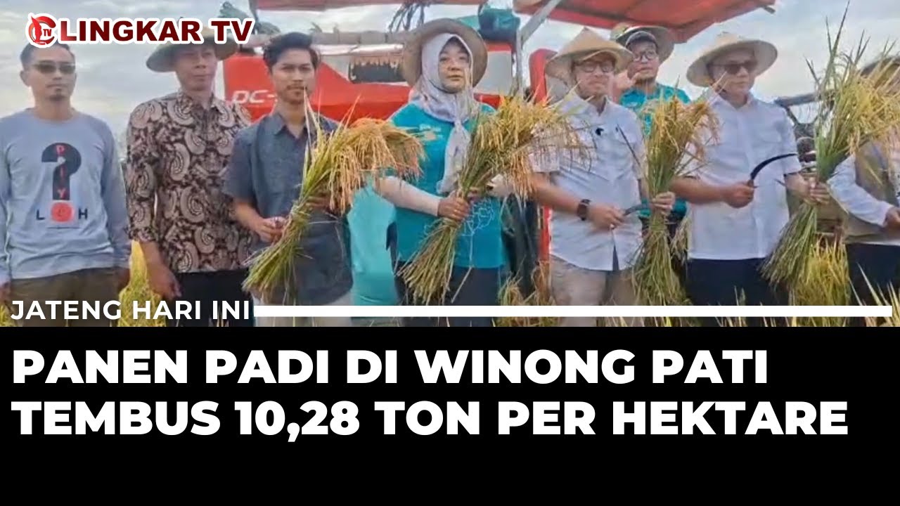 PANEN RAYA DI PATI MENINGKAT TAJAM, PADI CAPAI 10,28 TON PER HEKTARE