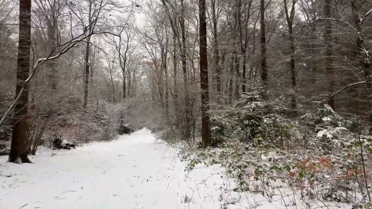 Samen naar buiten! #corversbos #wandelen #nature #sneeuwpret #sneeuw #sneeuwval #wandelen #snow
