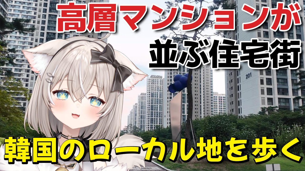 【海外女ひとり旅】韓国のローカル地を知る旅【ソウル/仁川】