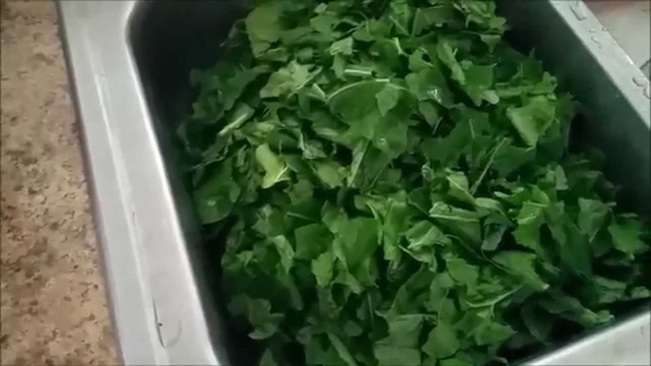 Greensvaganza - Cooking Collard, Mustard, and Turnip Greens Together
