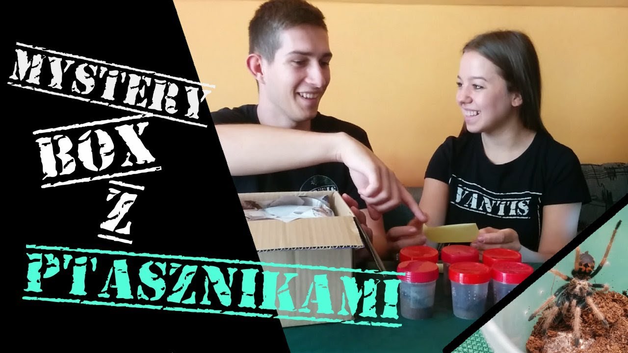 Mystery box z PTASZNIKAMI - paczka niespodzianka