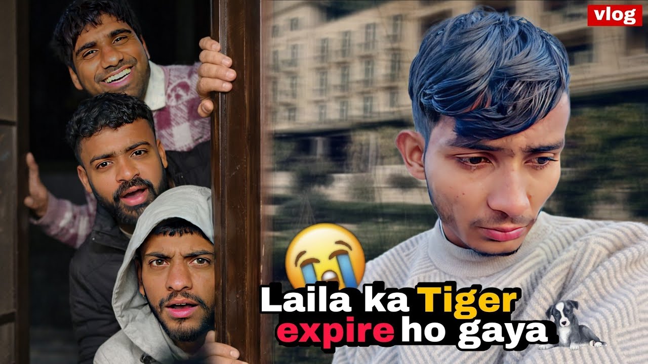 Nhi Raha Tiger 🐕 🥹😭 #trending #viral #funny #
