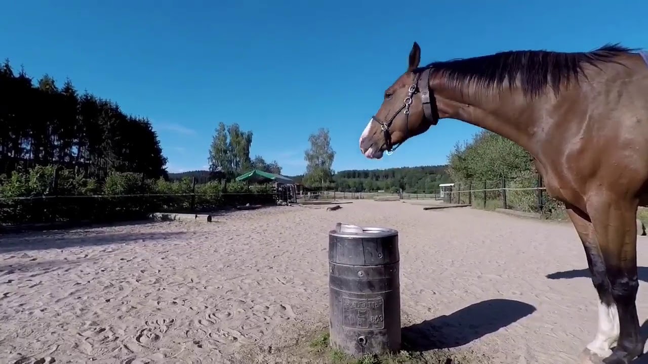 Rundgang Aktivstall Wörner