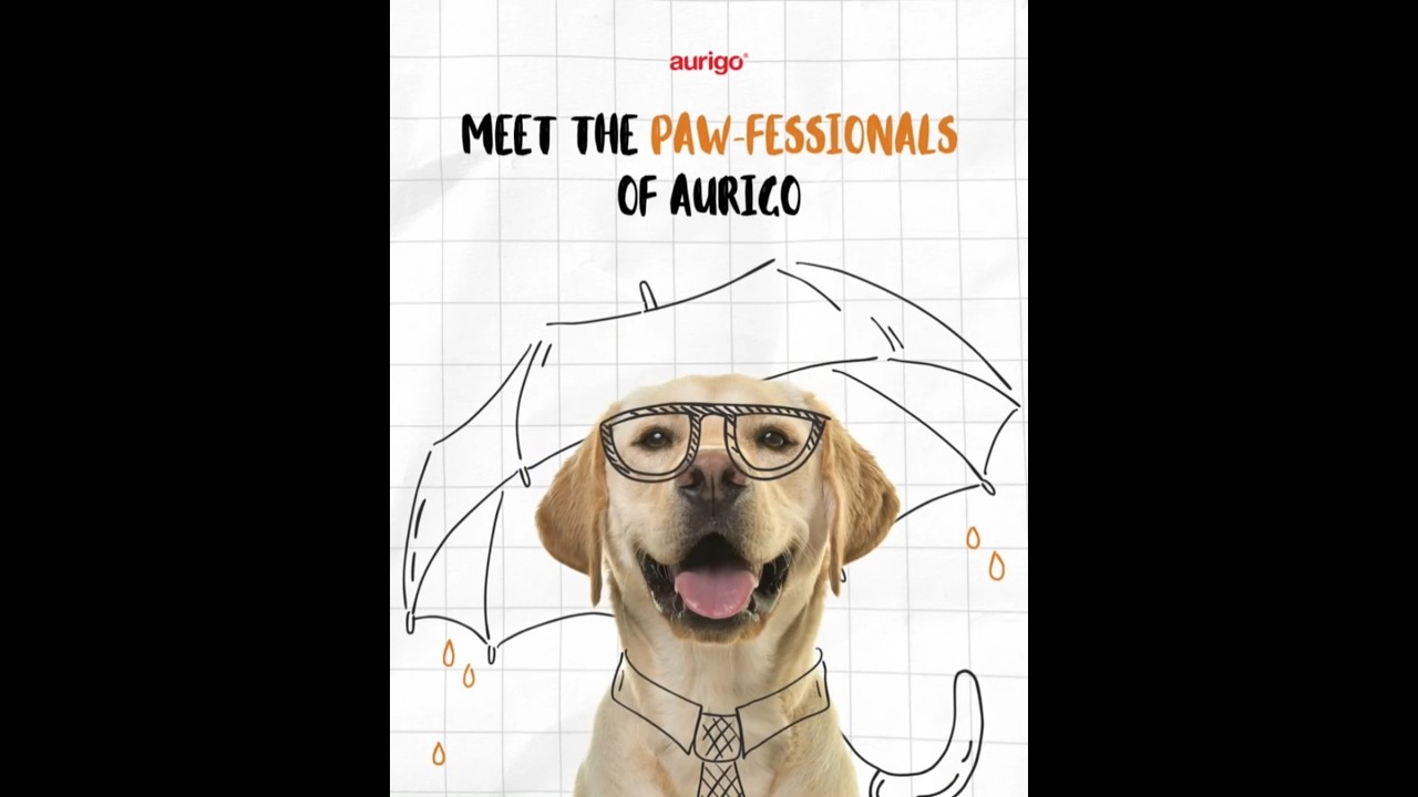 Meet the paw-fessionals of Aurigo! 🐾