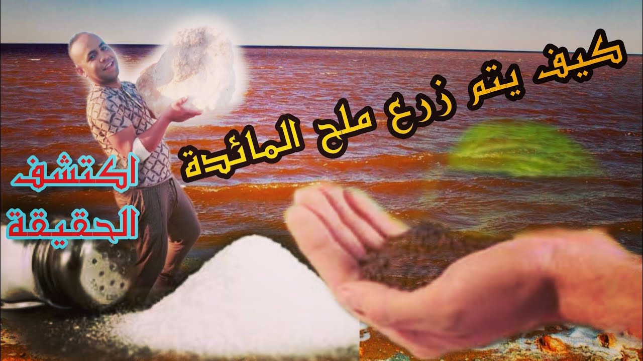 اكتشف معي لاول مرة ⛔حقيقة  انتاج 😱وزراعت الملح /وتعرف علي شط ملغيغ 🌴بولاية المغير اين يستخرج الملح