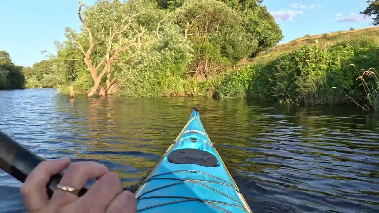 Kayaking from Boroughbridge to Westwick Lock - River Ure - Wednesday 2nd July 2025