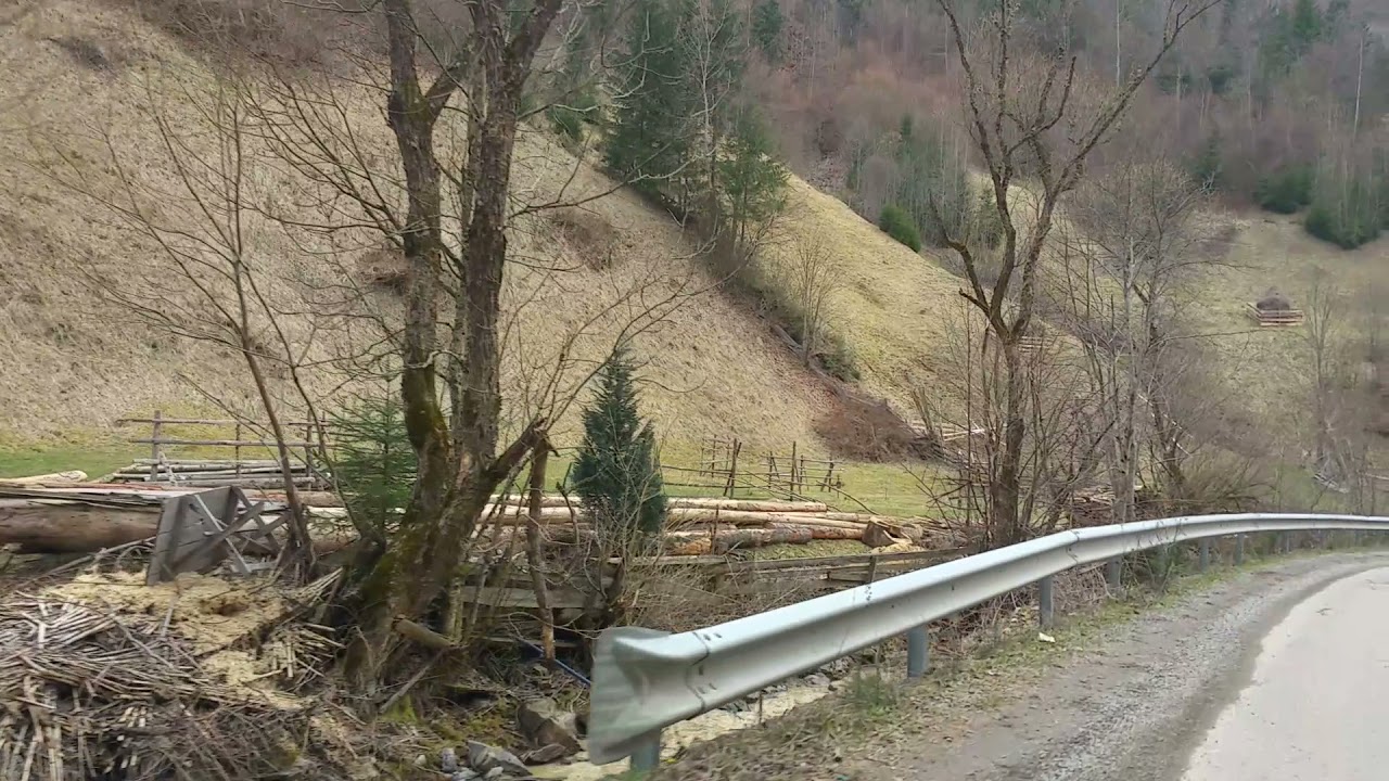 Drum forestier Lunca Ilvei la Șanț, Bistrița Năsăud (&icirc;n Romanian)