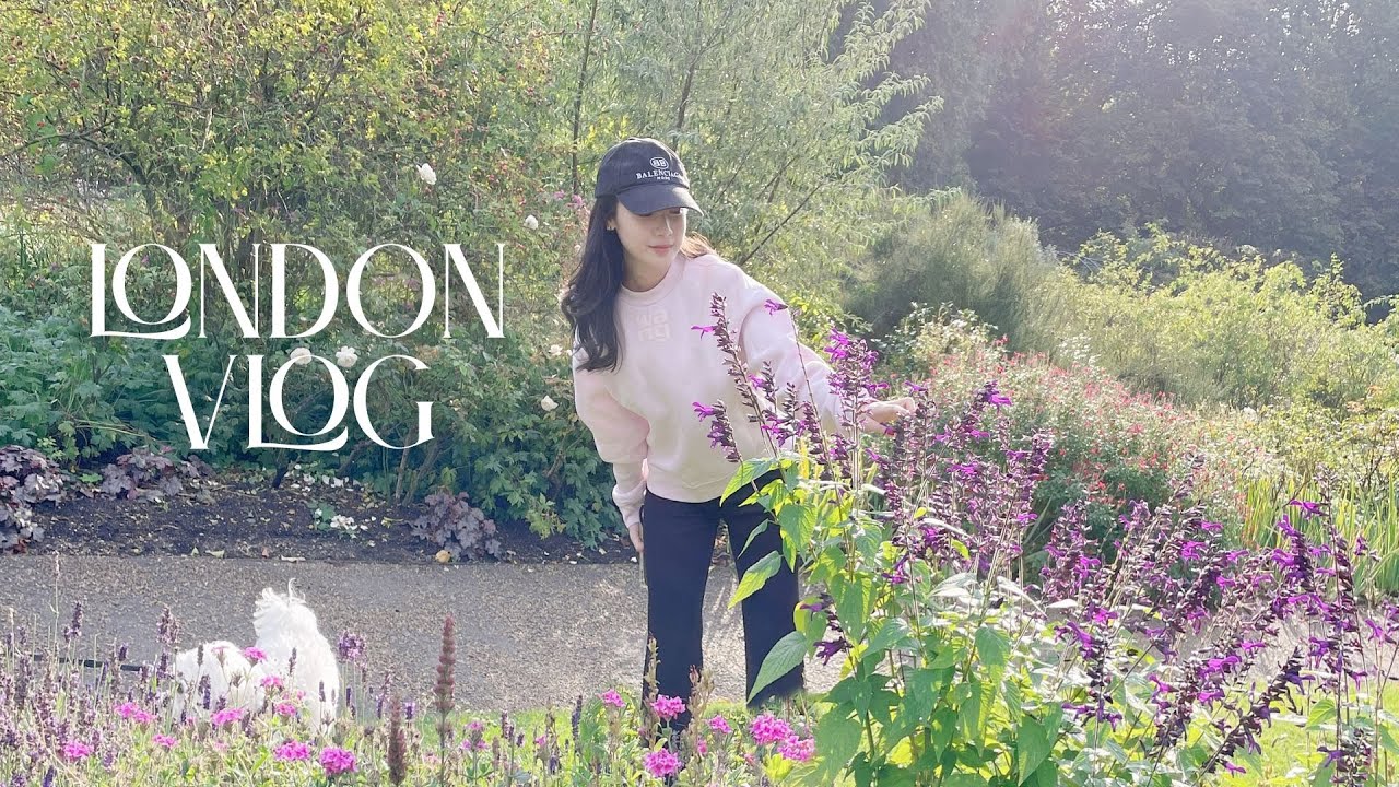 (Eng sub) London Vlog | 4月份生活碎片 ❤️ 上班族日常👩🏻‍💻開箱分享,帶肥仔看櫻花🌸織女的一天,在家做Focaccia🇮🇹