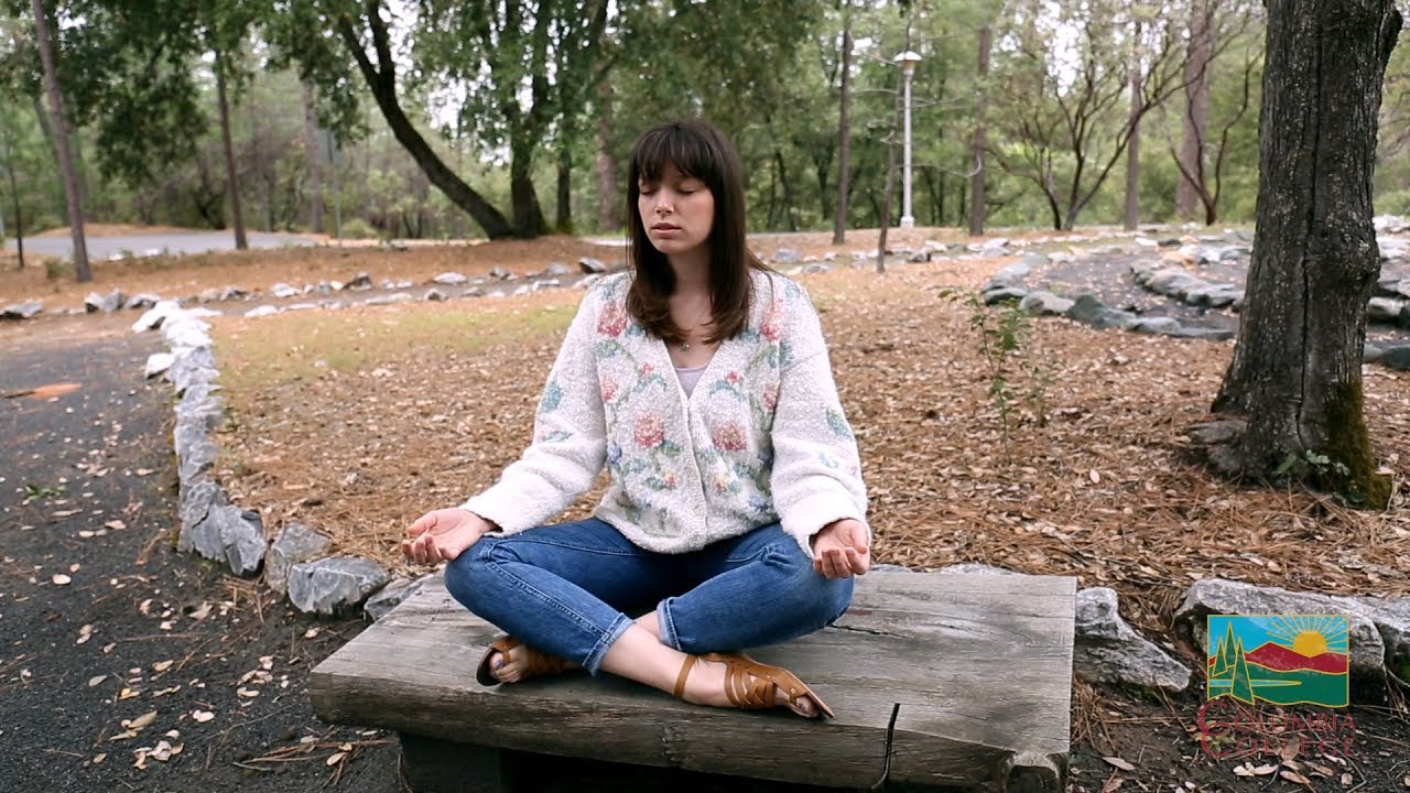 Wellness Central: Stress