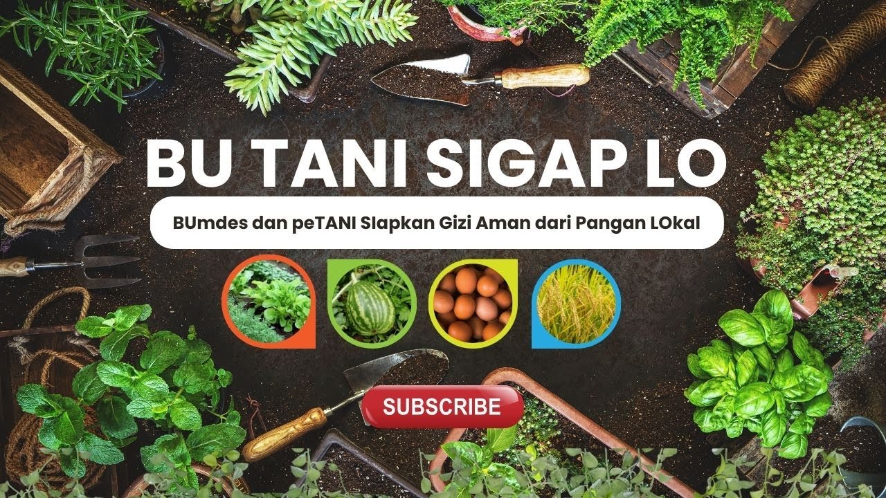 BU TANI SIGAP LO (Предприятия и фермеры, принадлежащие деревне, готовят безопасную пищу из местны...