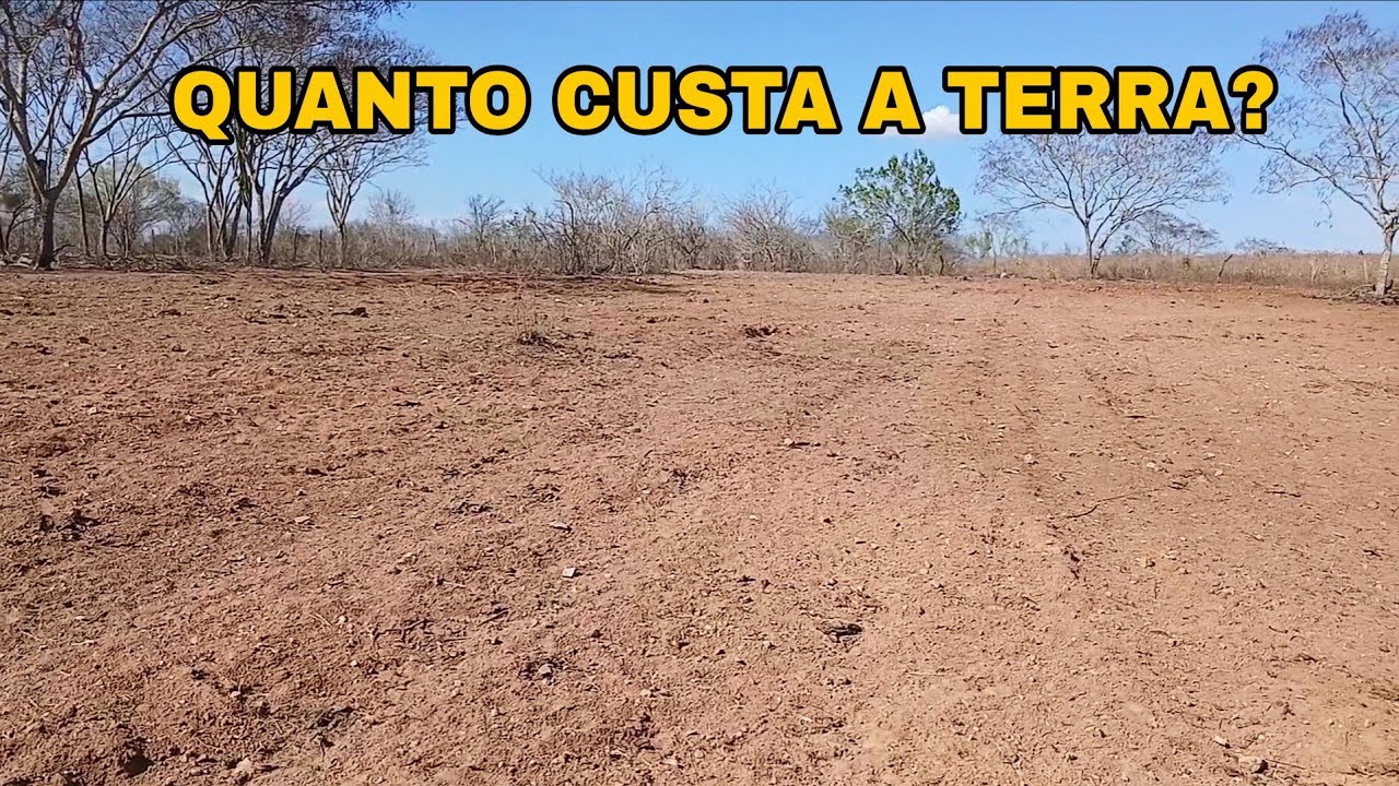Vale a Pena Comprar Terra no Nordeste em 2026? O Que NINGUÉM Te Conta