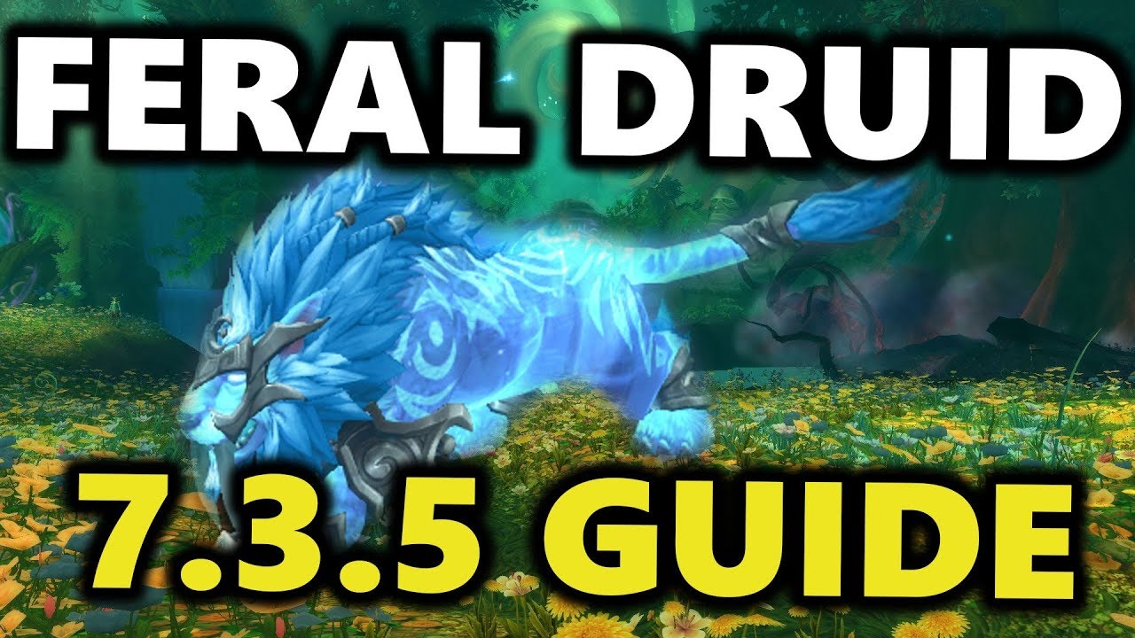 FERAL DRUID GUIDE PATCH 7.3.5 | WORLD OF WARCRAFT CLASS GUIDE
