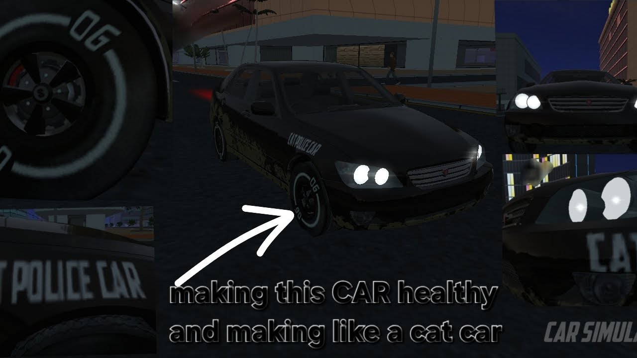 THIS BLACK KITTEN CAR HAS STYLISH WHEELS | POLICE CAT CAR 