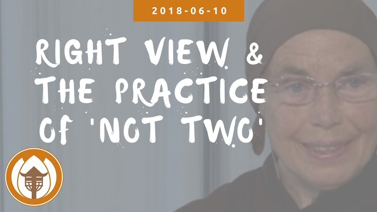 Right View and the practice of 'Not Two' | Dharma Talk by Sr Dieu Nghiem (Sr Jina), 2018 06 10