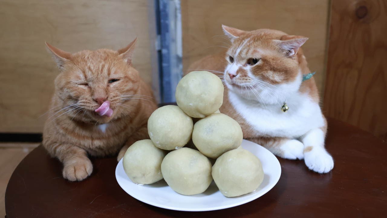 猫たちと秋彼岸まんじゅう作り　250922