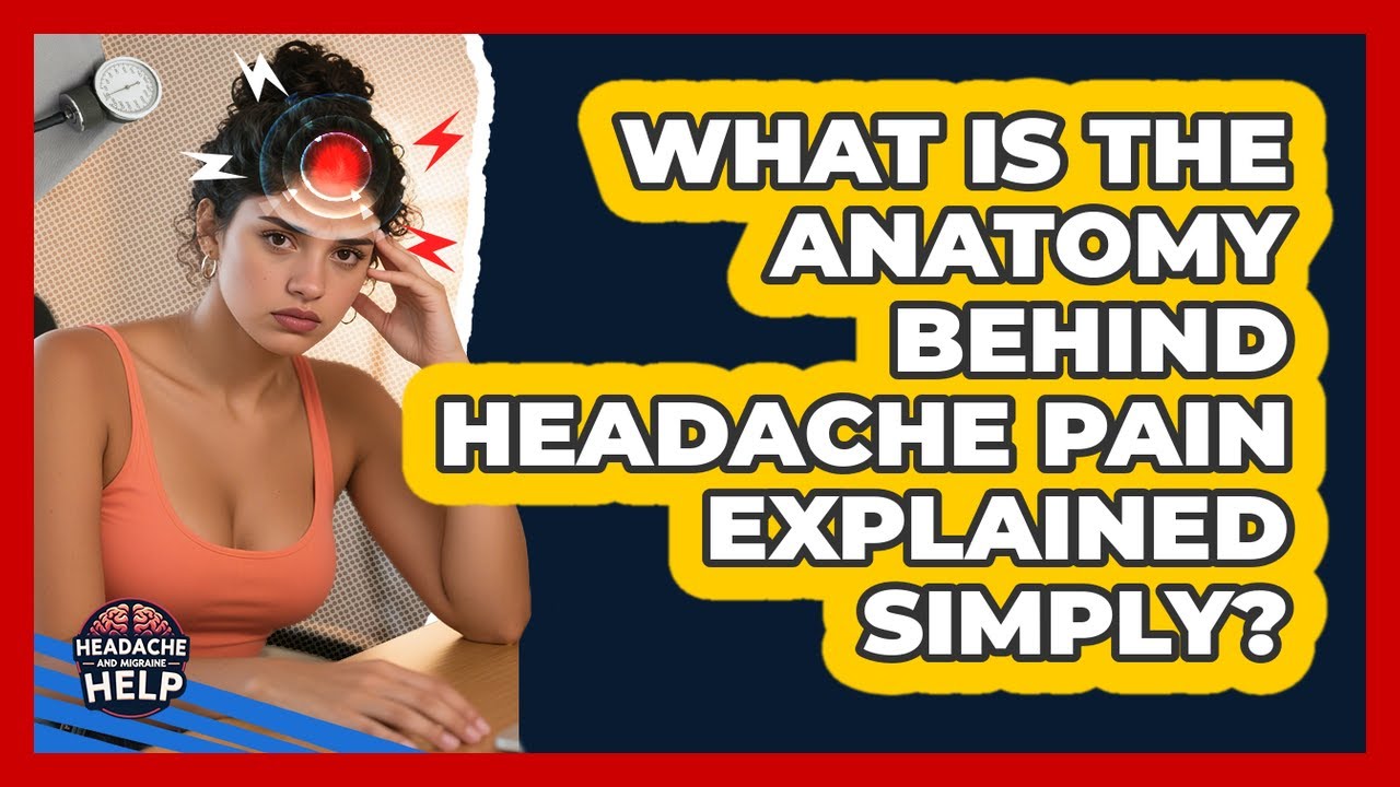 What Is The Anatomy Behind Headache Pain Explained Simply? - Headache and Migraine Help