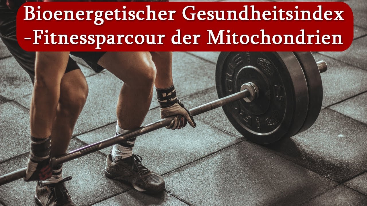 Fitnessparcour der Mitochondrien - der bioenergetische Gesundheitsindex | Dr. med. Dirk Wiechert