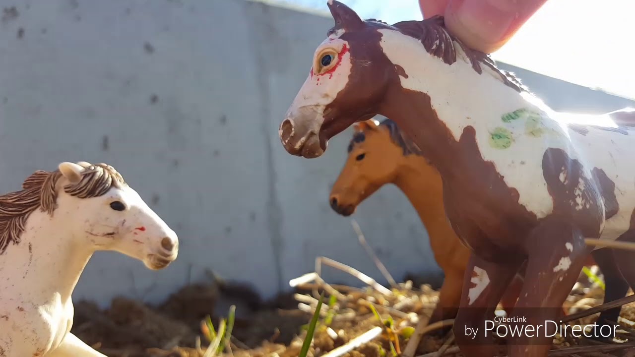 Koh Lanta version schleich partie 2