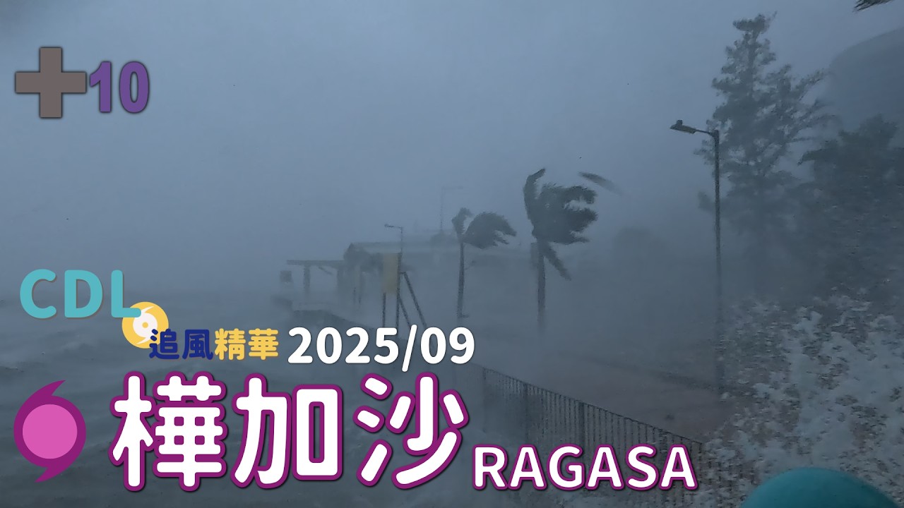 【CDL 追風精華】樺加沙 | 狂浪撲岸紅磡精華 (2025/09/24)