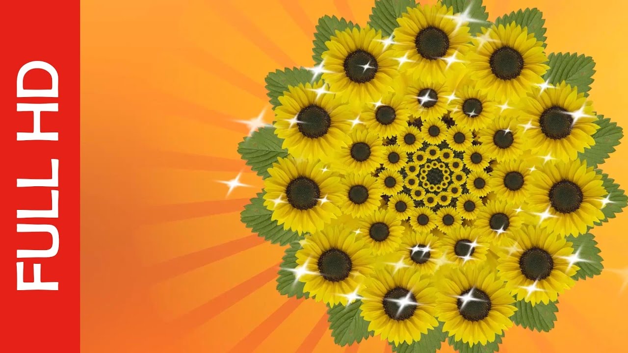 Wedding Background HD Video