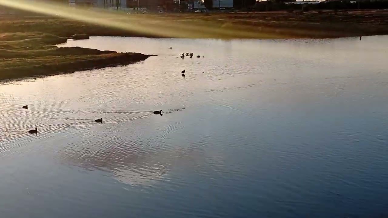 Punta Arenas. Hermoso amanecer en Tres Puentes 