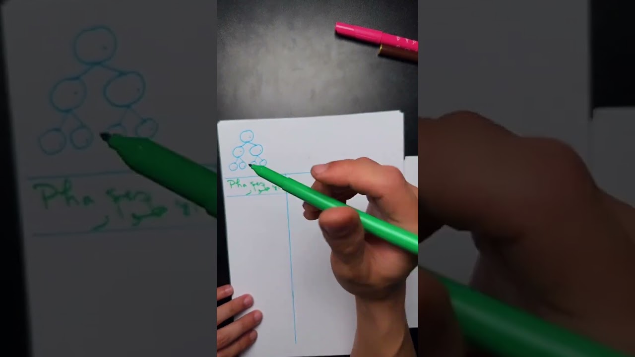 شرح درس الخبر الوراثي l'information génétique 🚨 Bac 2024