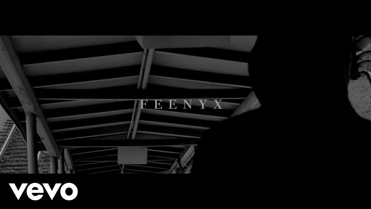 Feenyx - Do What I Can