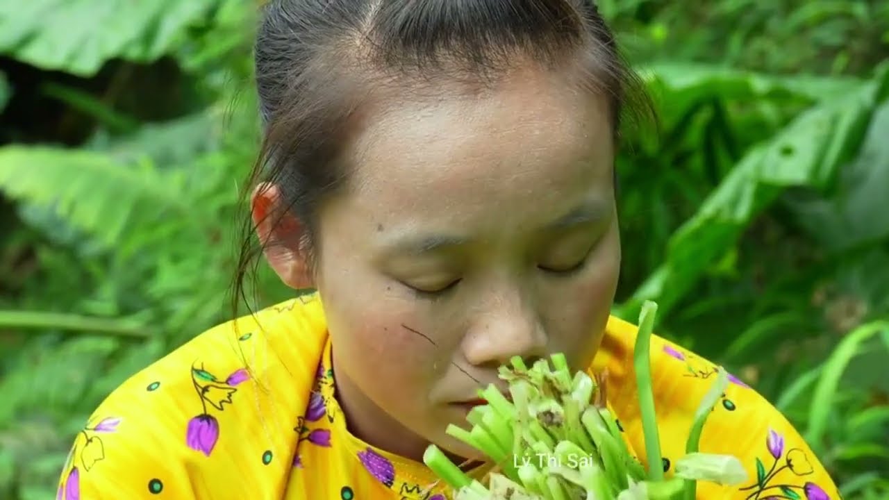What are the uses of cacti? l Lý Thị Sai