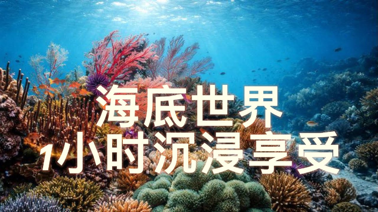 海底世界1小時沉浸享受｜冥想｜輕音樂｜放鬆｜解壓｜舒眠｜降噪｜放鬆大腦 BGM