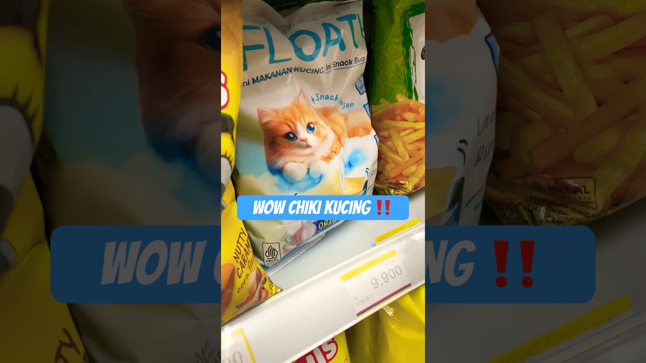 WAH ADA CIKI BUAT KUCING 😱 ⁉️ 