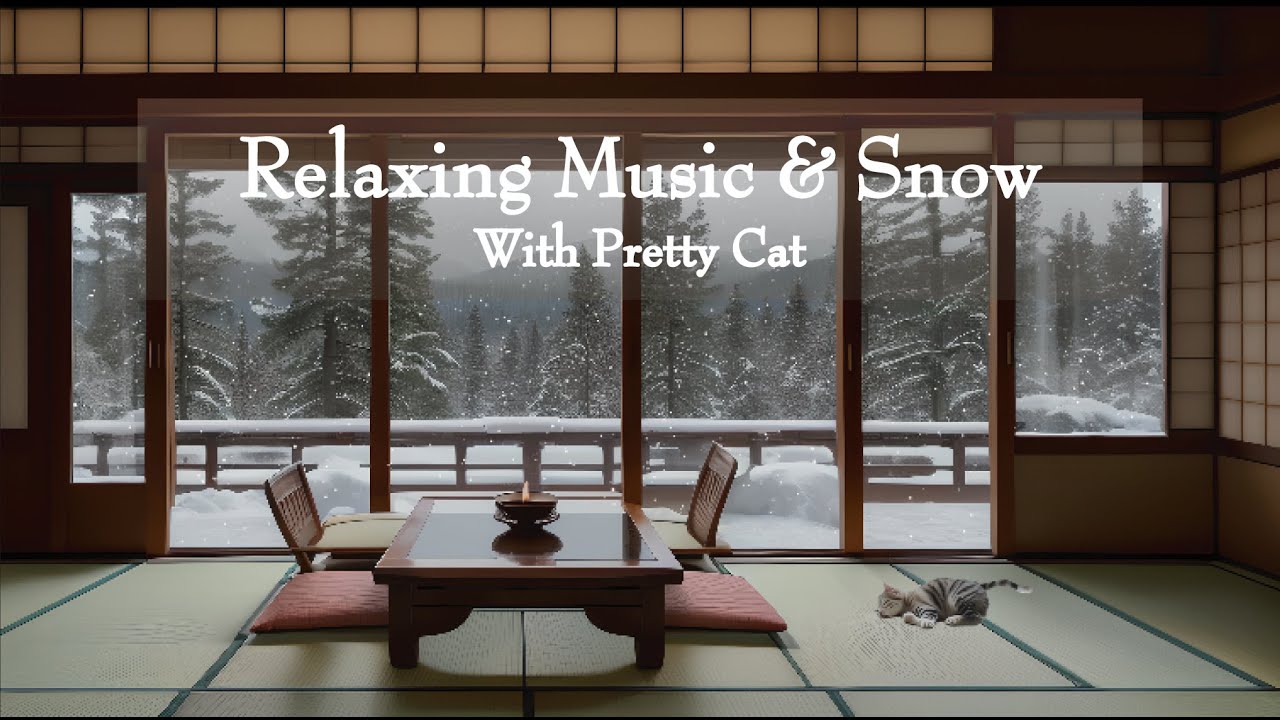 Music with Pretty Cat & Viewing Snow | A quiet guesthouse in the deep forest.