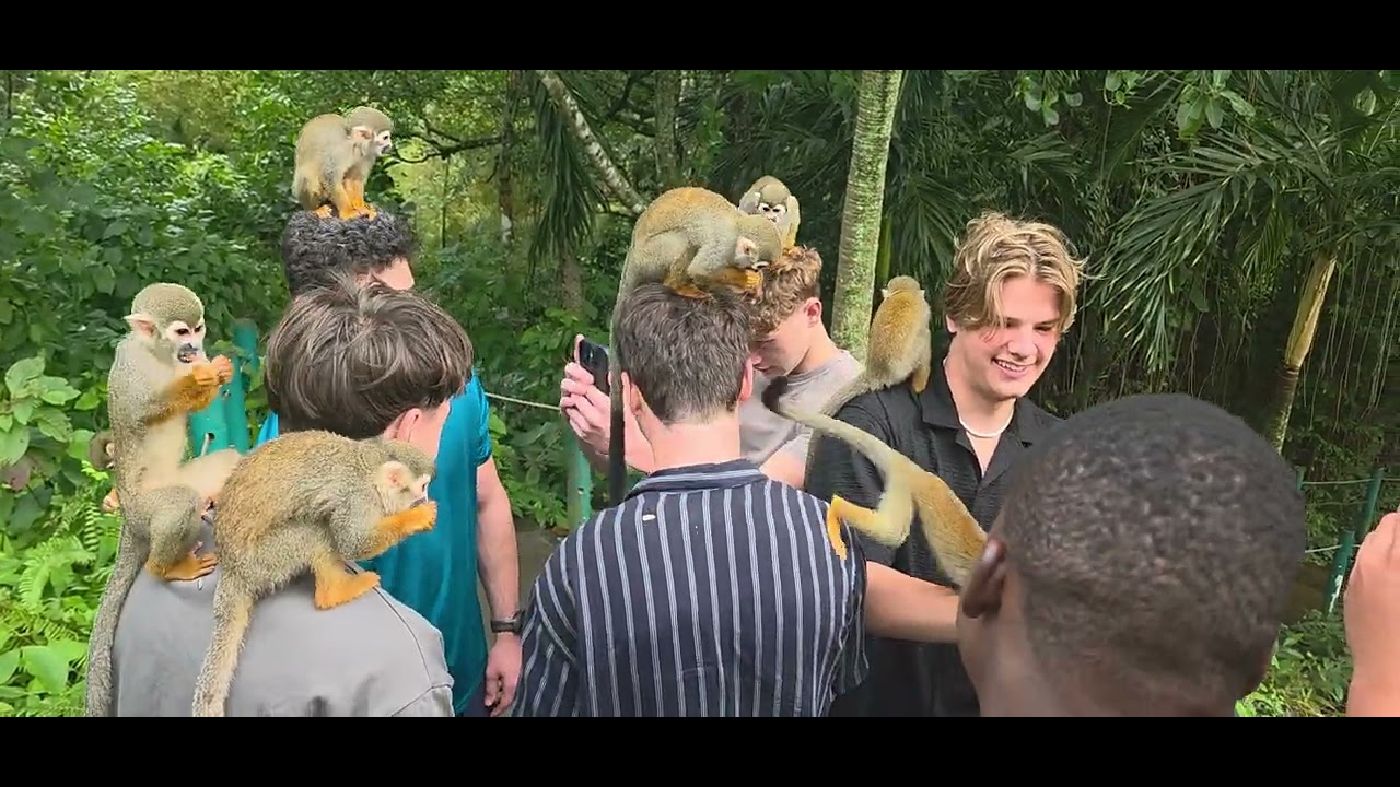 Monkey jungle en puerto plata 