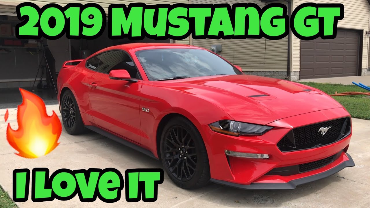 2019 Mustang GT Review / Walk Around