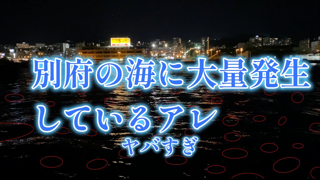 何で別府に大量発生！？【大分のアジング】しるすた#19 #fishing
