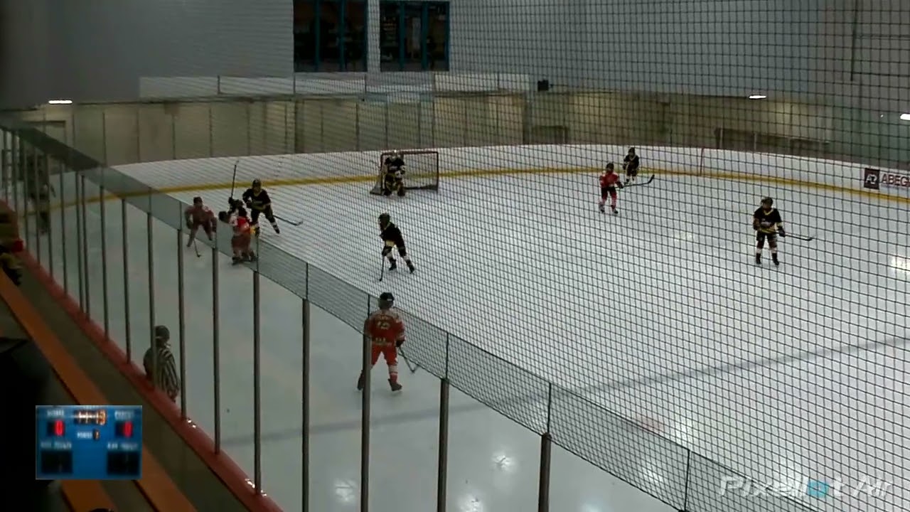 Bruins vs Cole Harbour Wings Jan 30