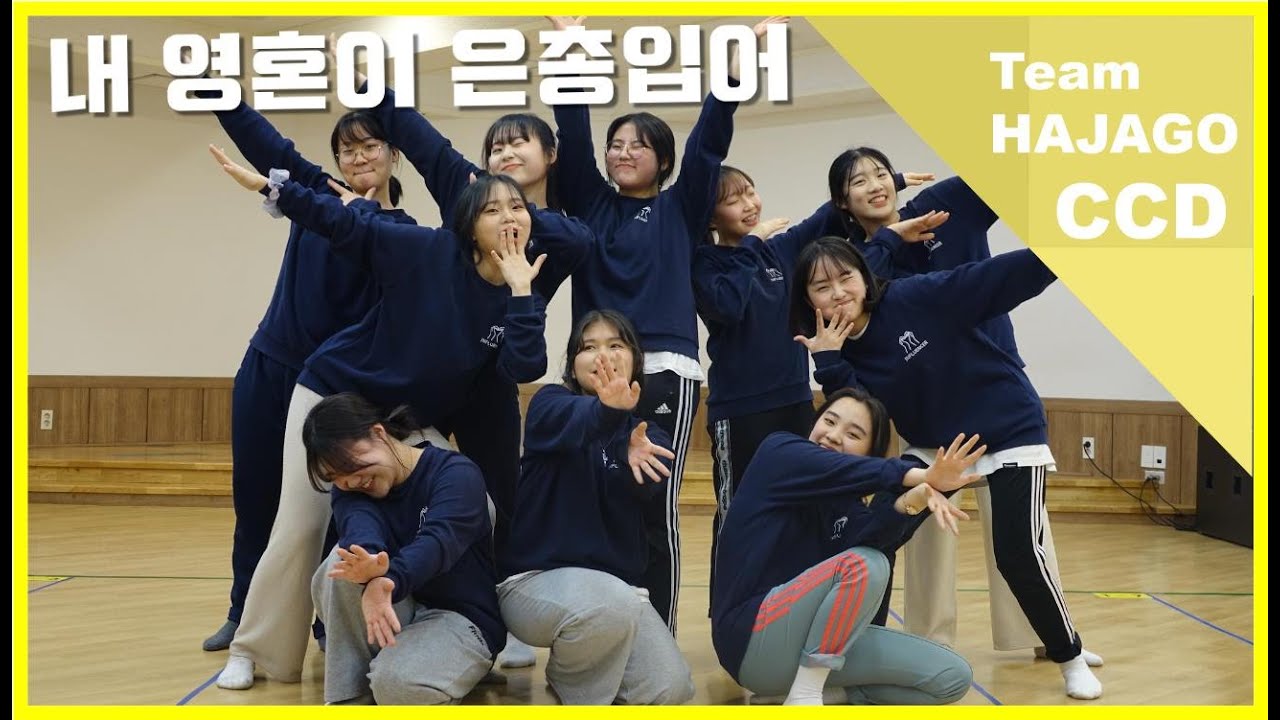 내 영혼이 은총입어(CCD) / [Team HAJAGO CCD]