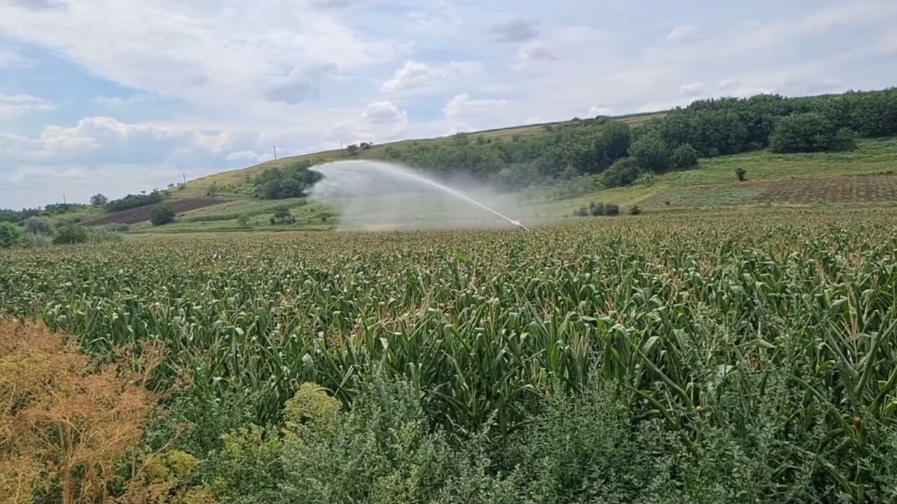 Irrigation / Sime Reflex