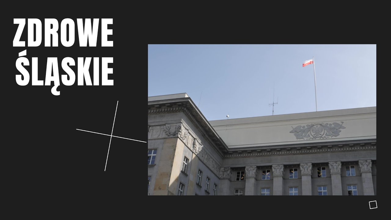 Zdrowe Śląskie: Problemy zdrowotne os&oacute;b starszych