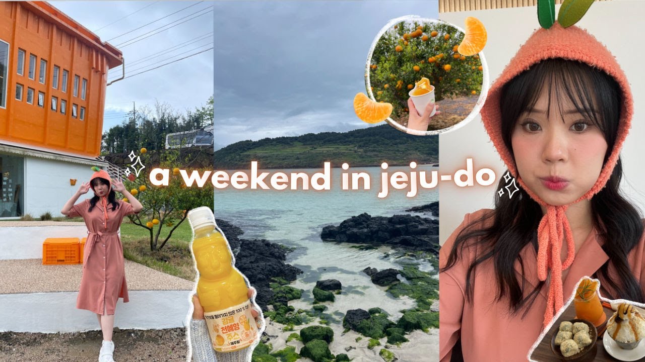 A WEEKEND IN JEJU-DO 🍊 snoopy garden, tea museum, cafe hopping