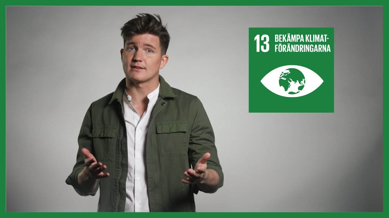 Mål 13. Bekämpa klimatförändringarna – Ronjas film | 17 om 17