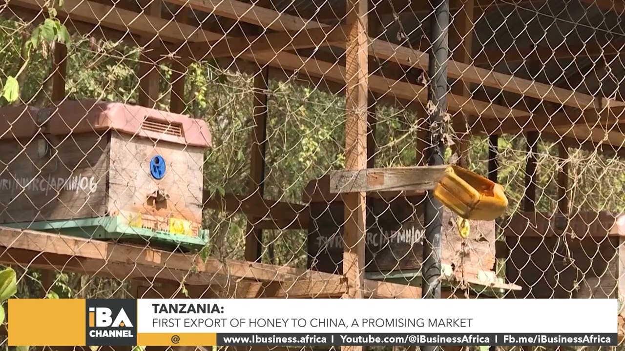 TANZANIA: FIRST EXPORT OF HONEY TO CHINA, A PROMISING MARKET
