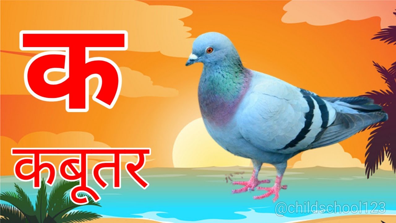 क से कबूतर 🕊️ | अ से अनार 🍎 | आ से आम 🥭 | हिंदी वर्णमाला सीखें बच्चों के लिए @ChildSchool123